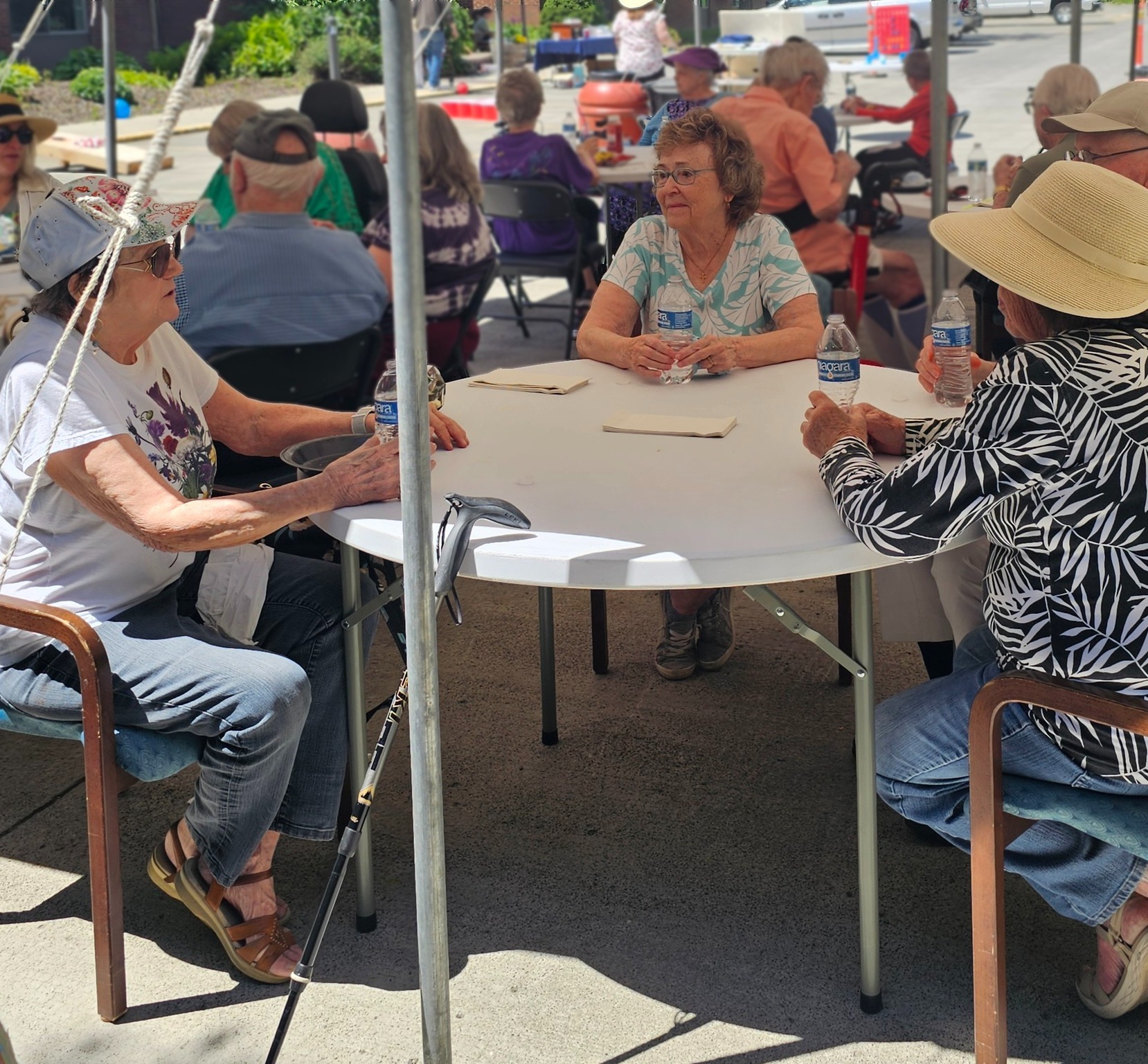 471493348_122155971356304685_2405367956775357737_n-1